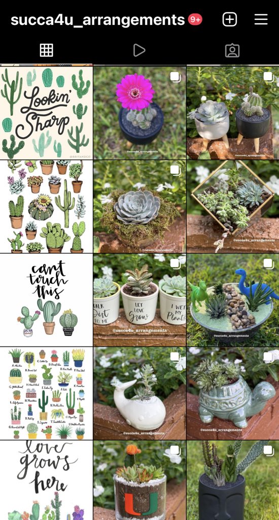 melissa_diaaz's tweet photo. Succa4u_arrangements on IG💚 https://t.co/VrIRY0kpC7