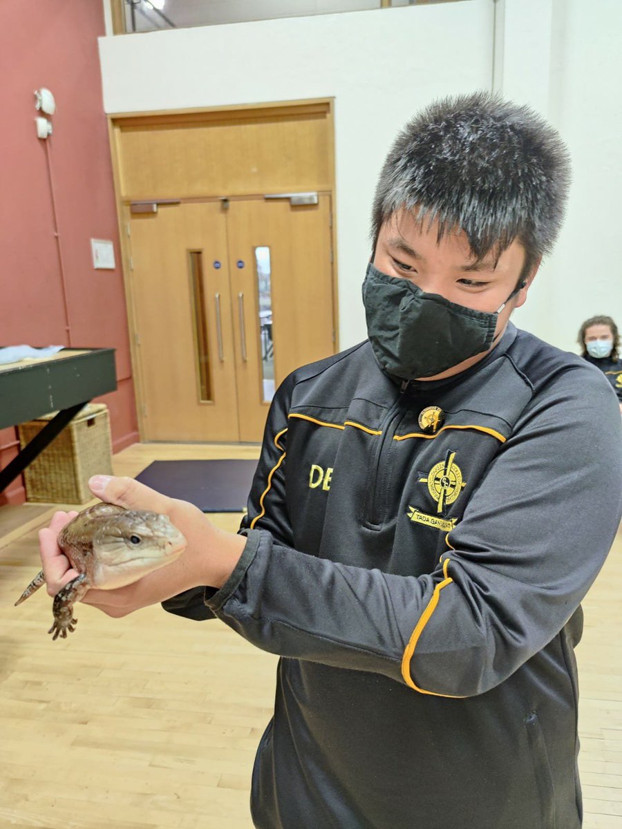 D1 making new friends at our Reptile Haven Workshop yesterday 🐍😁🐍 Thanks to Ronan and his scaly companions for an enjoyable afternoon!! 🦎🐍 @ClonkeenSchool @YourTYNews @tydotie @TYUpdated