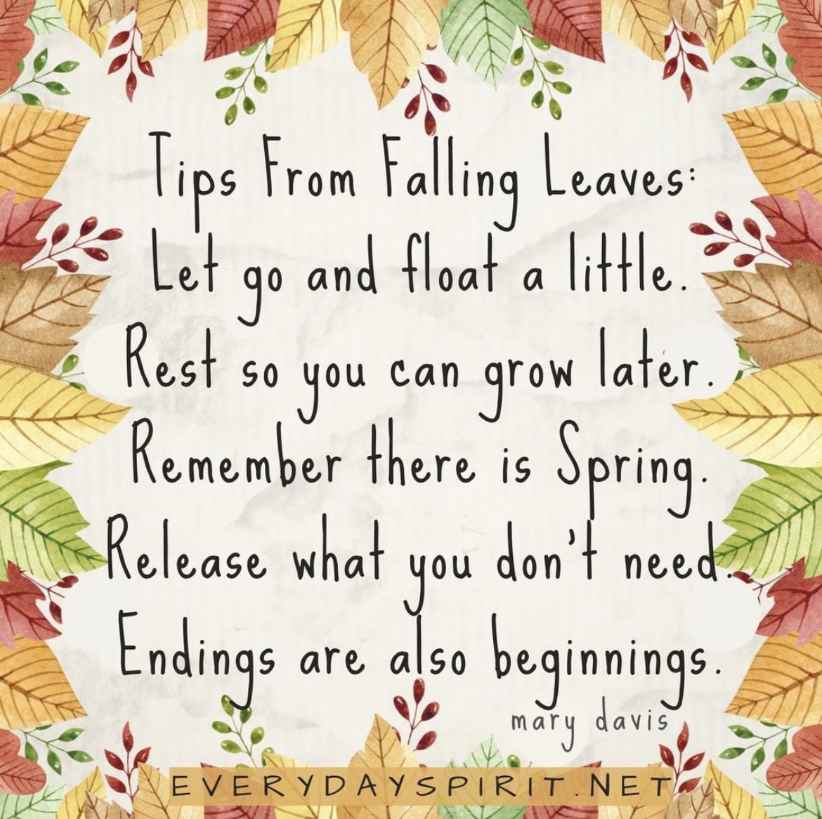bethhill2829's tweet photo. 🍂Whoa…leaves are smart!🍂
🍁 #JoyfulLeaders 🍁 https://t.co/VyZH949QWK
