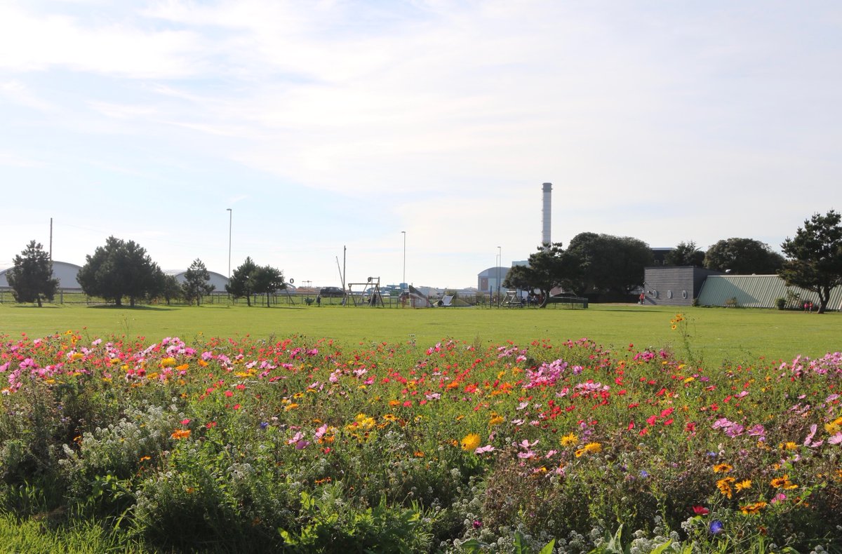 Adur & Worthing Councils tweet media