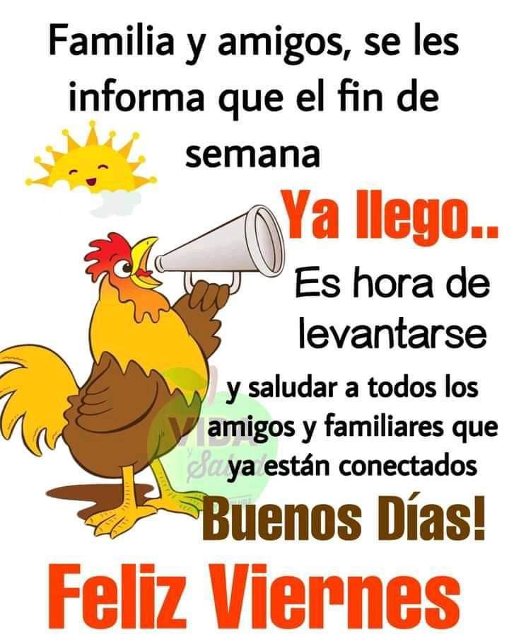 Buenos días amigos ☀️