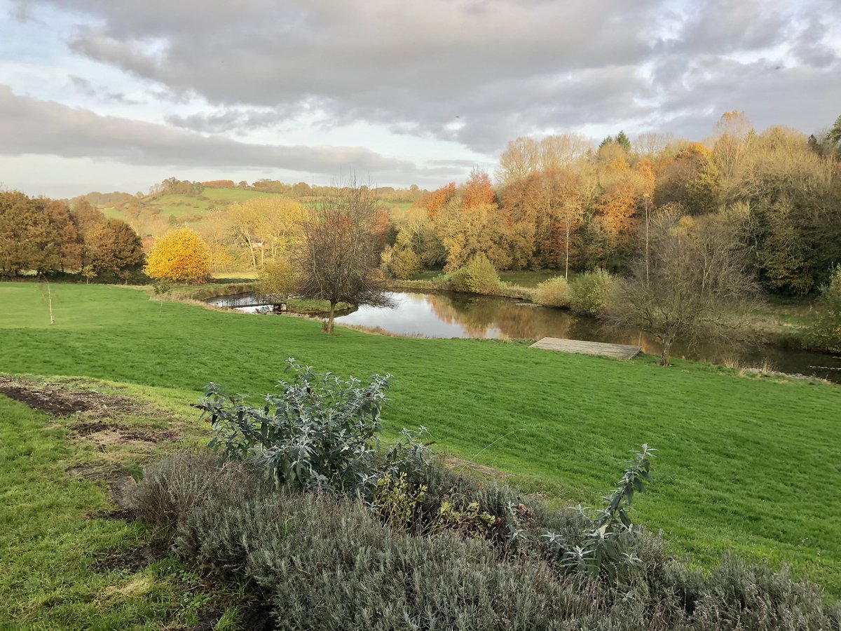 Wonderful diversity of landscapes during site visits in Dorset 🌊🌾🍁🏰