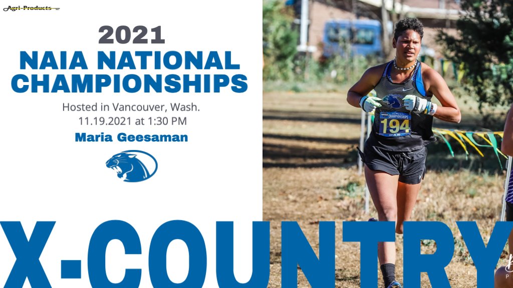 YUGameday's tweet photo. 🏃‍♀️NAIA NATIONAL CHAMPIONSHIPS🏃‍♀️

Good luck to Maria Geesaman who qualified for today’s Cross Country Championships! #KCACxc

Location: Fort Vancouver National Historic Championship Course, Vancouver, Wash.

#WeAreYC https://t.co/mL5Xd1IHPJ