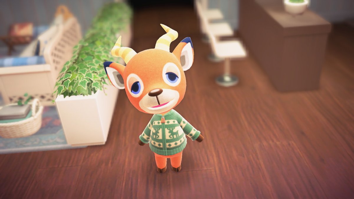 shivelynyan's tweet photo. #AnimalCrossing #ACNH #NintendoSwitch https://t.co/FEJt6mcQMo