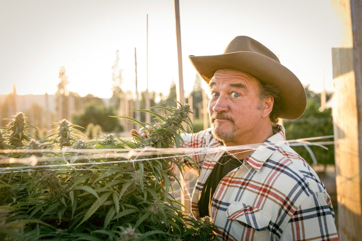 JimBelushi's tweet photo. who’s ready for the weekend? https://t.co/SYdkTaxQDe