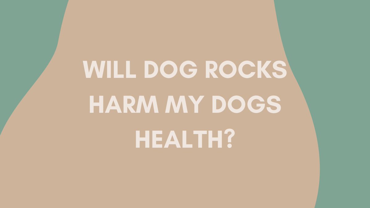 DogRocksHQ's tweet photo. Dog Rocks are 100% natural and won’t change the pH balance of your dog’s urine, so they will not harm your dog at all! Find out more at https://t.co/nmNe5DwVvb 🐾 #dogrocks #mydogrocks #dogrockshq #petproducts #ecofriendly #petstagram #countrylife #gardeningtips https://t.co/JvXHzYeSiC