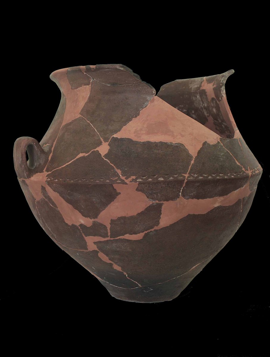 #Zerocalcare "È così, quando attraversi la vita. Ti usuri. E non puoi più tornare com'eri prima. Ci devi stare. L'importante è che capisci quali sono i pezzi di cui non puoi fare a meno, che ti fanno essere quello che sei... E te li tieni stretti."✍️
#Riflessioni a <a href="/CasaLettori/">Casa Lettori</a>