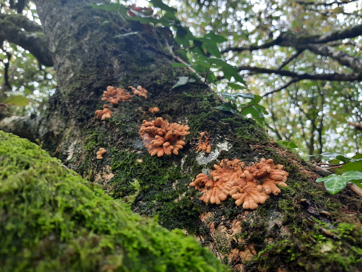 Billy Fullwood tweet media