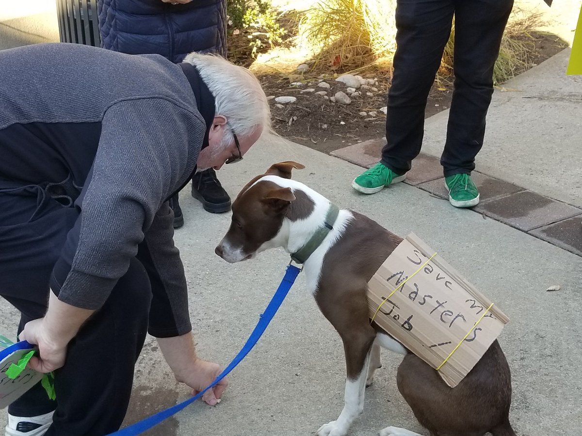 CNJSCL's tweet image. William Paterson Rally to Save Jobs! #SaveWPJobs