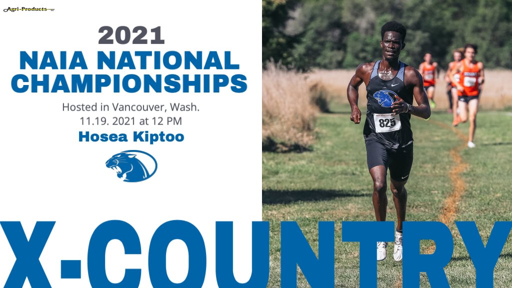 YUGameday's tweet photo. 🏃‍♂️NAIA NATIONAL CHAMPIONSHIPS🏃‍♂️

Good luck to Hosea Kiptoo who qualified for today’s Cross Country Championships! 🐾💙#KCACxc

Location: Fort Vancouver National Historic Championship Course, Vancouver, Wash.

#WeAreYC https://t.co/ZhozdcSuNr