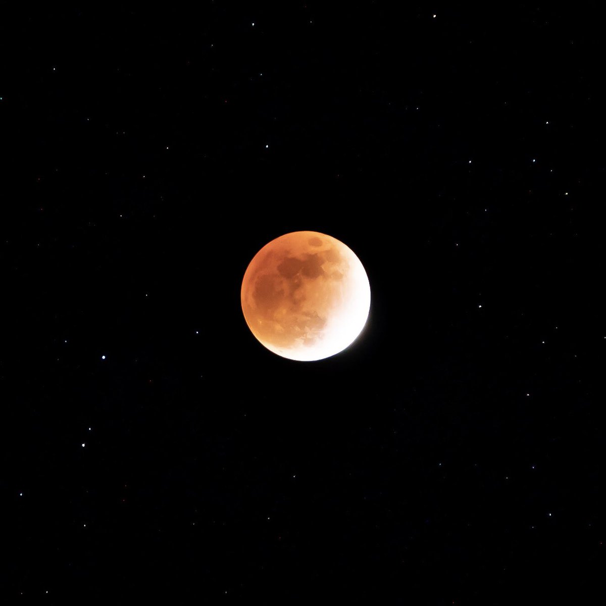In case you missed the lunar eclipse last night, we wanted to share a photo captured by our webmaster extraordinaire and HBA alumni, Ryan Su.