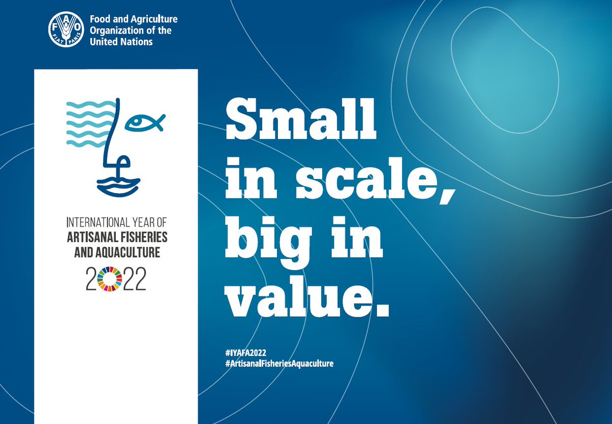 Small in scale, big in value. 2022 has been declared the International Year of #ArtisanalFisheriesAquaculture. We’re teaming up in India and Vietnam to improve small-scale shrimp farming. Read about our work in the next two tweets. (1/3)