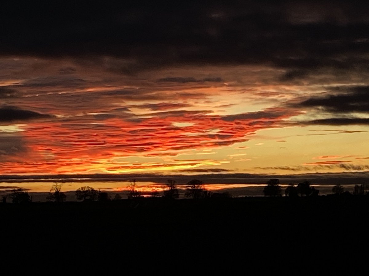 Mike.... LLB (Hons) tweet media