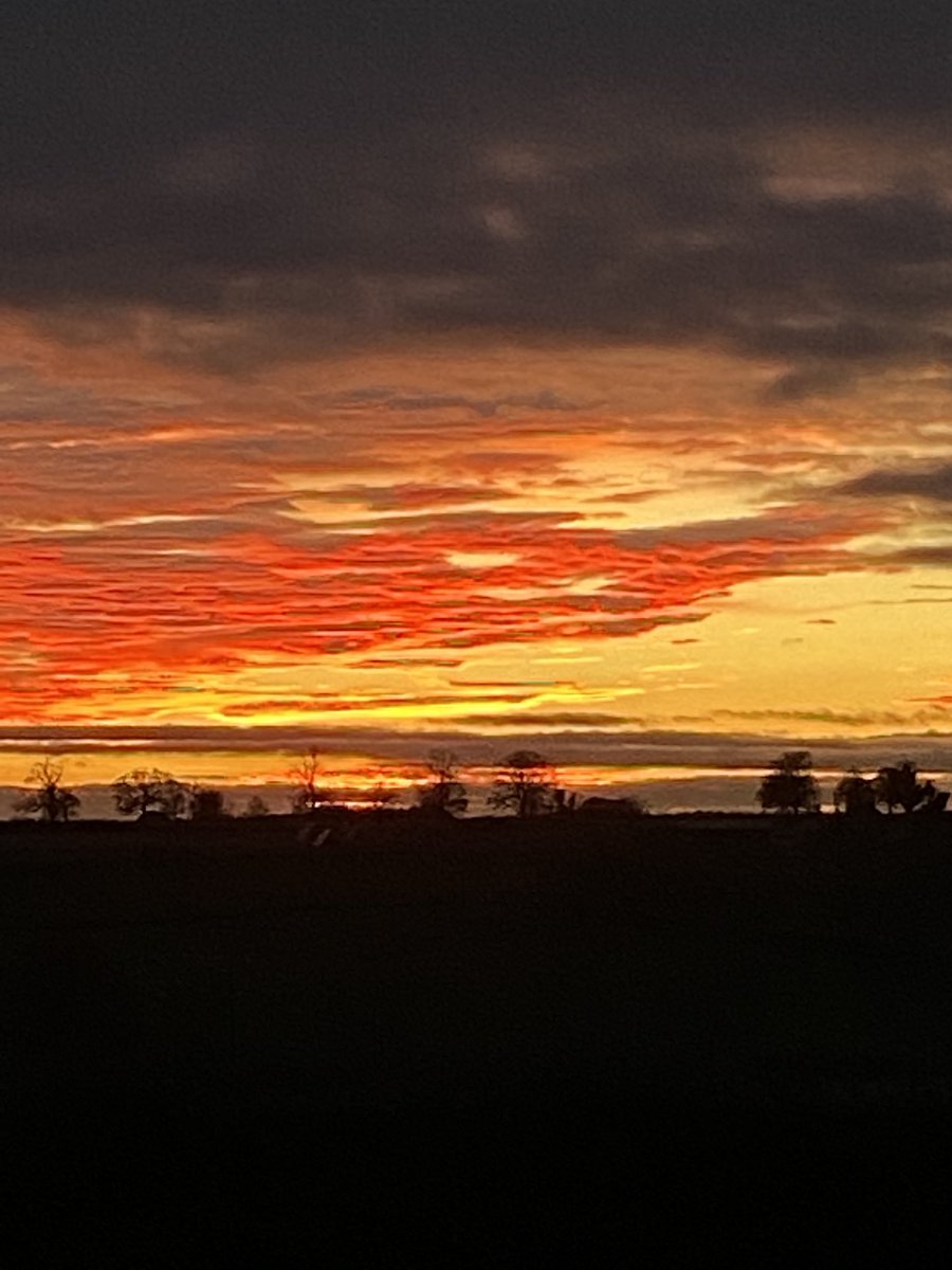 Mike.... LLB (Hons) tweet media