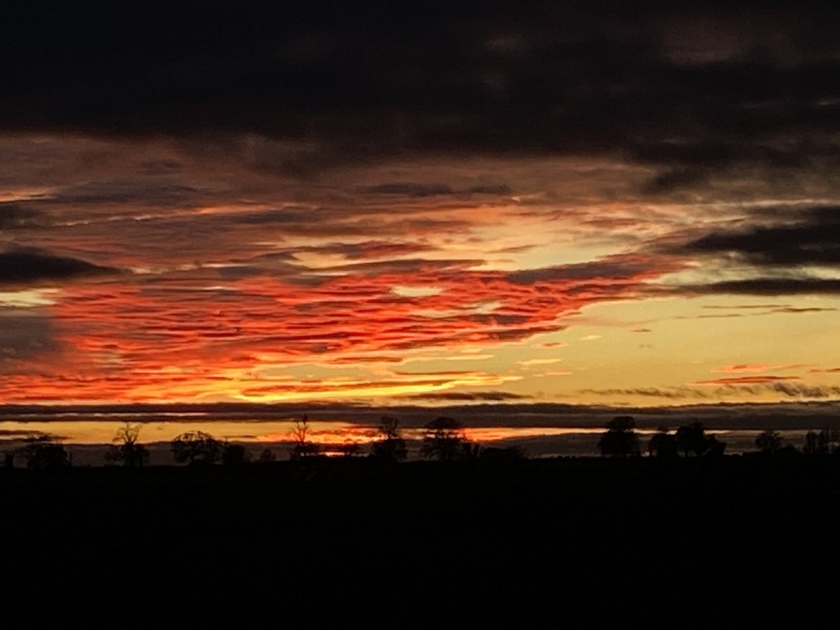 Mike.... LLB (Hons) tweet media