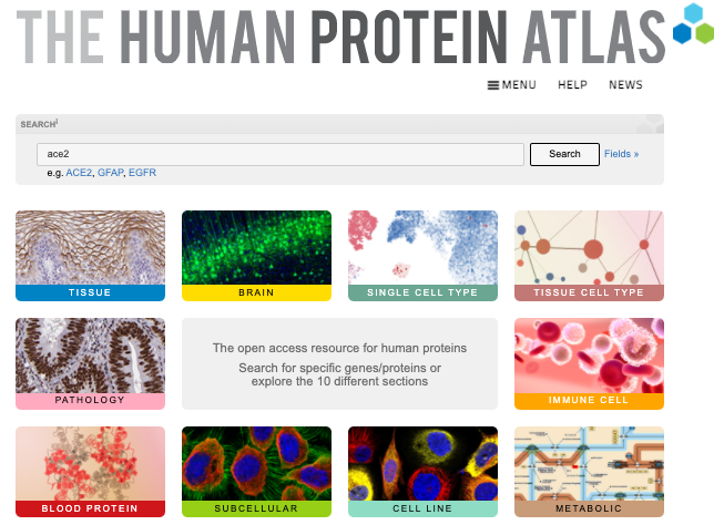 enlightenbio's tweet photo. New version 21 of the Human Protein Atlas A has been launched (version 21). Now includes 10 separate sections exploring the human proteins from different angel.
@HumanProteome #proteinatlas #proteomics
https://t.co/SnzQeLZ6xQ https://t.co/DJNO8QMxIk