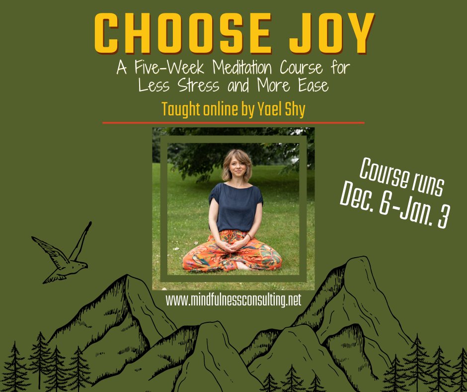 My dear friend <a href="/YaelShy1/">Yael Shy</a> is leading this meditation class starting in December! 

mindfulnessconsulting.net/classes

And if you decide to sign up you can save $50 today. She is wonderful. You are wonderful. Meditation is wonderful. What's not to love?