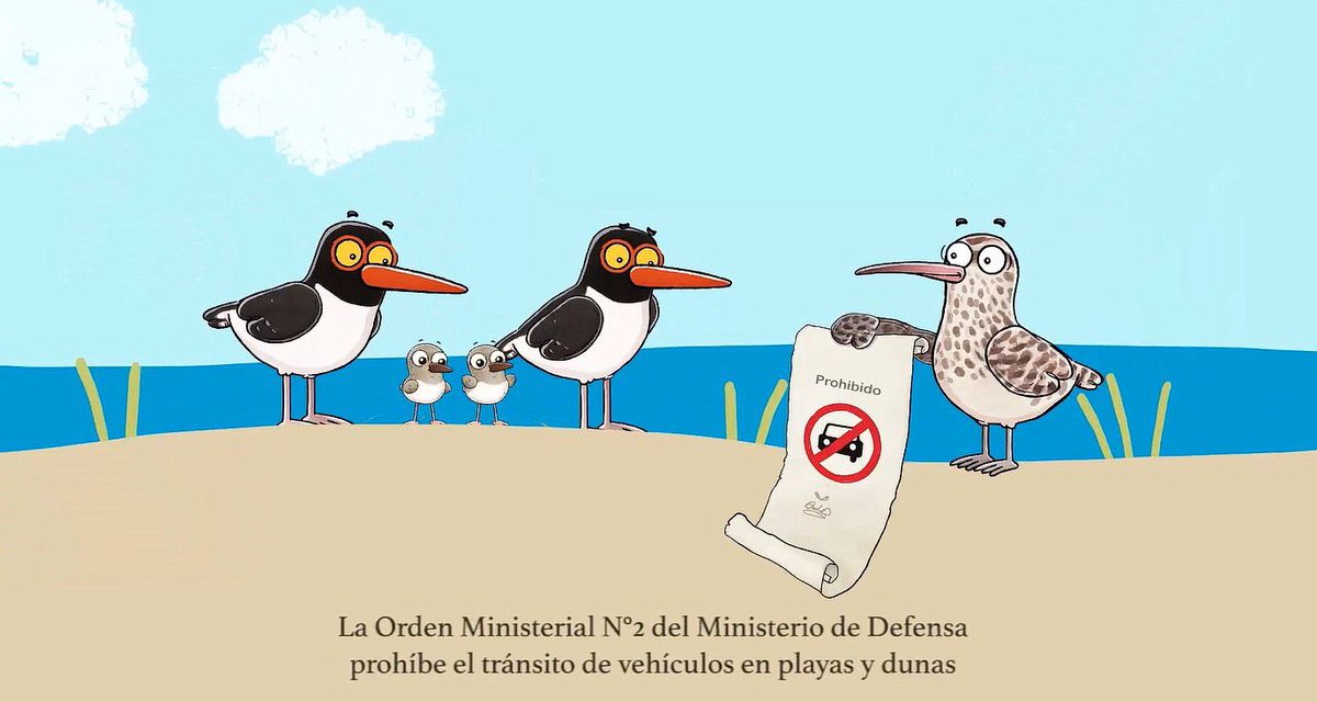 En Chile, lanzan campaña educativa que busca evitar el ingreso de vehículos en las playas [VIDEO] | elmartutino.cl/noticia/medioa… #avesplayeras
