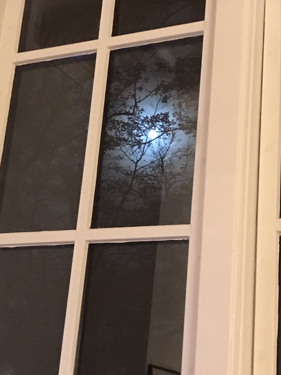 Zie de maan schijnt …