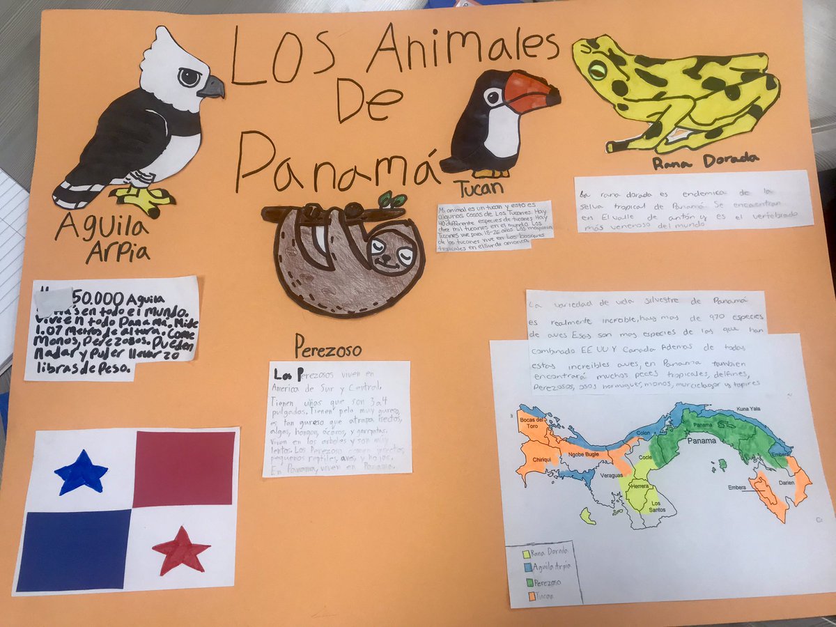 BethEverett46's tweet photo. @EMMScrusaders Loved seeing the enthusiasm and cultural appreciation! Great work, Crusaders! https://t.co/Y882bkXVZY