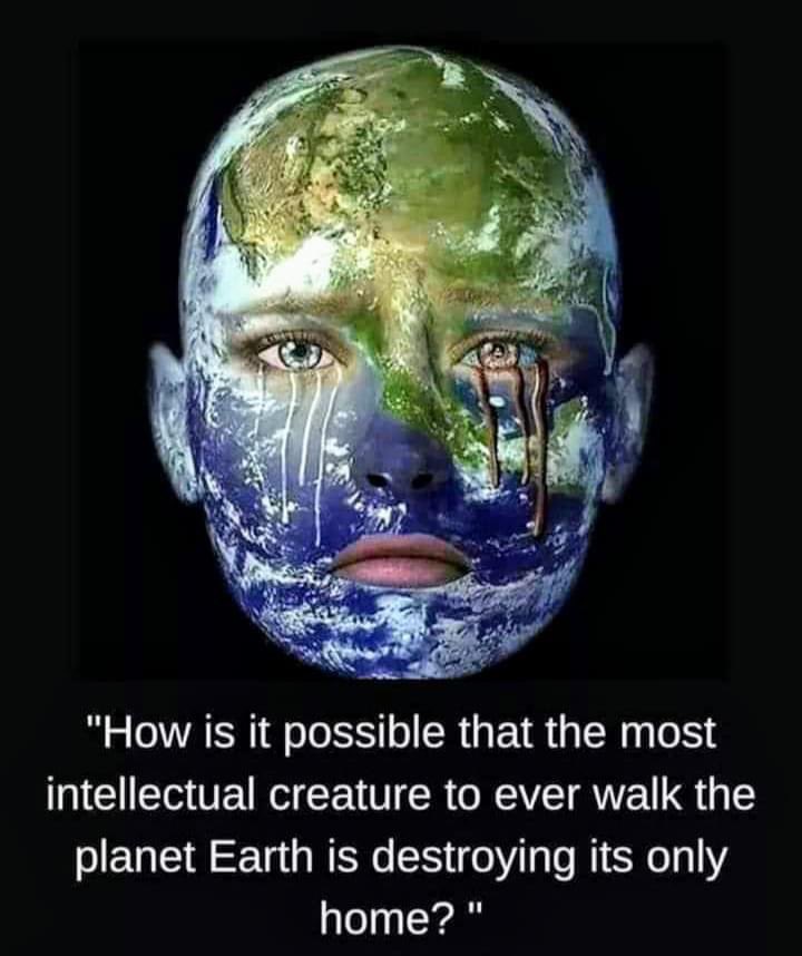 The ultimate question