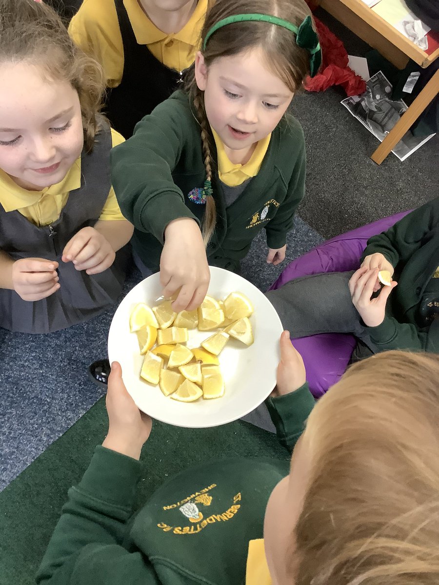 rquellinsclass's tweet photo. Exploring our sense of taste this afternoon in science was so much fun! 🍋 https://t.co/10tXO5T2gL