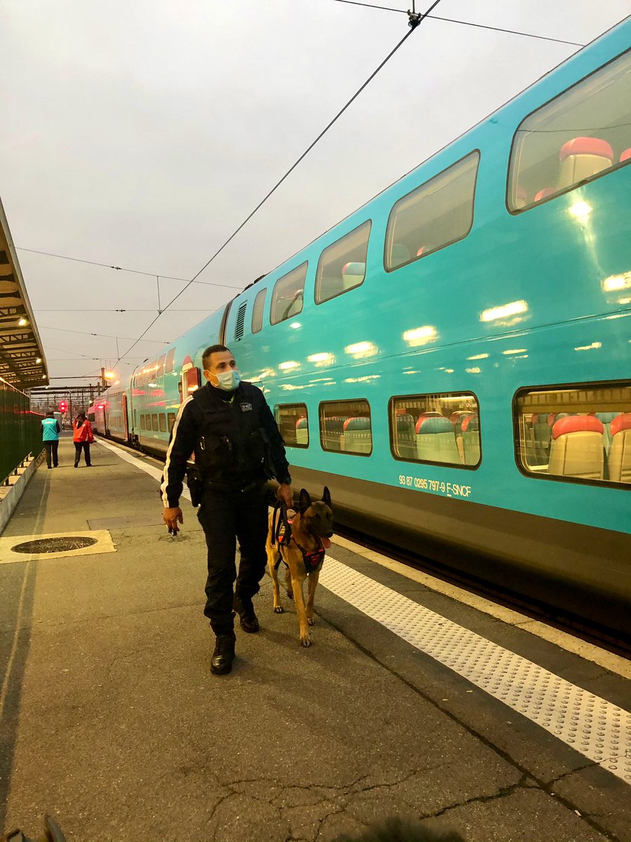 LucieArcovio's tweet photo. Notre équipe cyno 🐕 toujours en action 👉 cette fois ci avec @francetv. Les bagages oubliés 🧳🎒💼 causent de (trop) nombreux retards. 

🤭 1 bagage oublié = des milliers de clients impactés
Restons attentifs ensemble 🙏 https://t.co/huQmlaZIaT