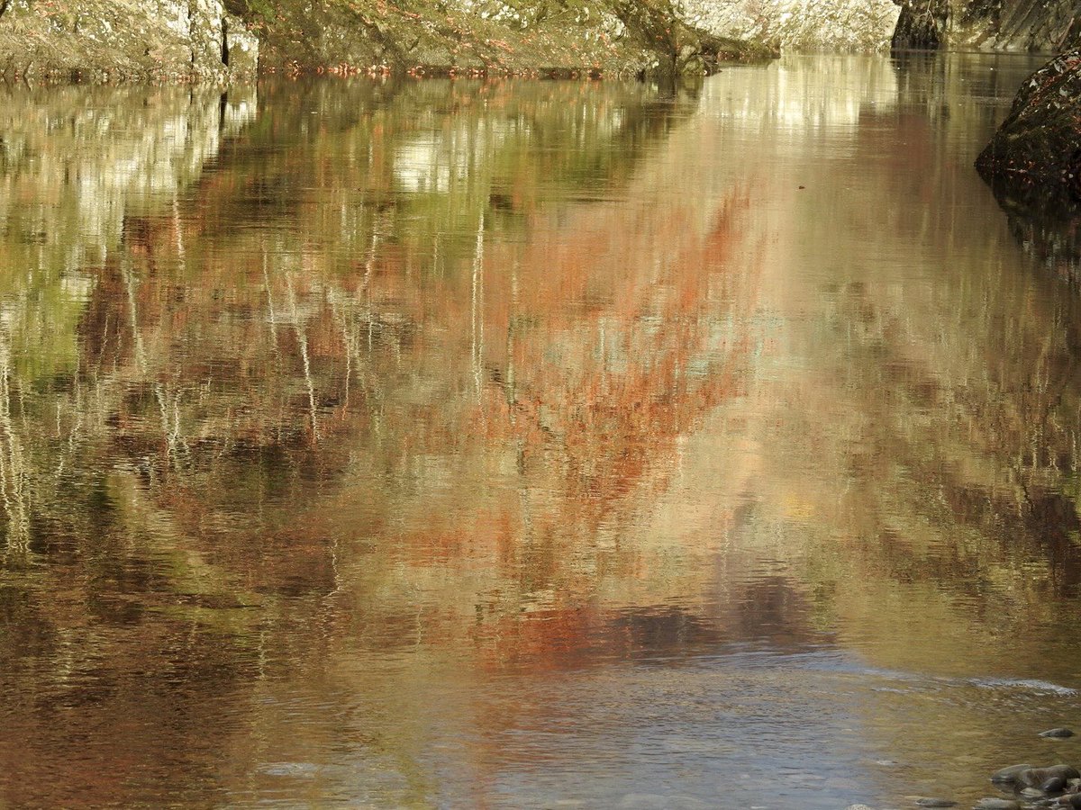 kilmanybirder's tweet photo. Still some autumn colours in #Perthshire today #GarryBridge https://t.co/r4vGW7Sm66