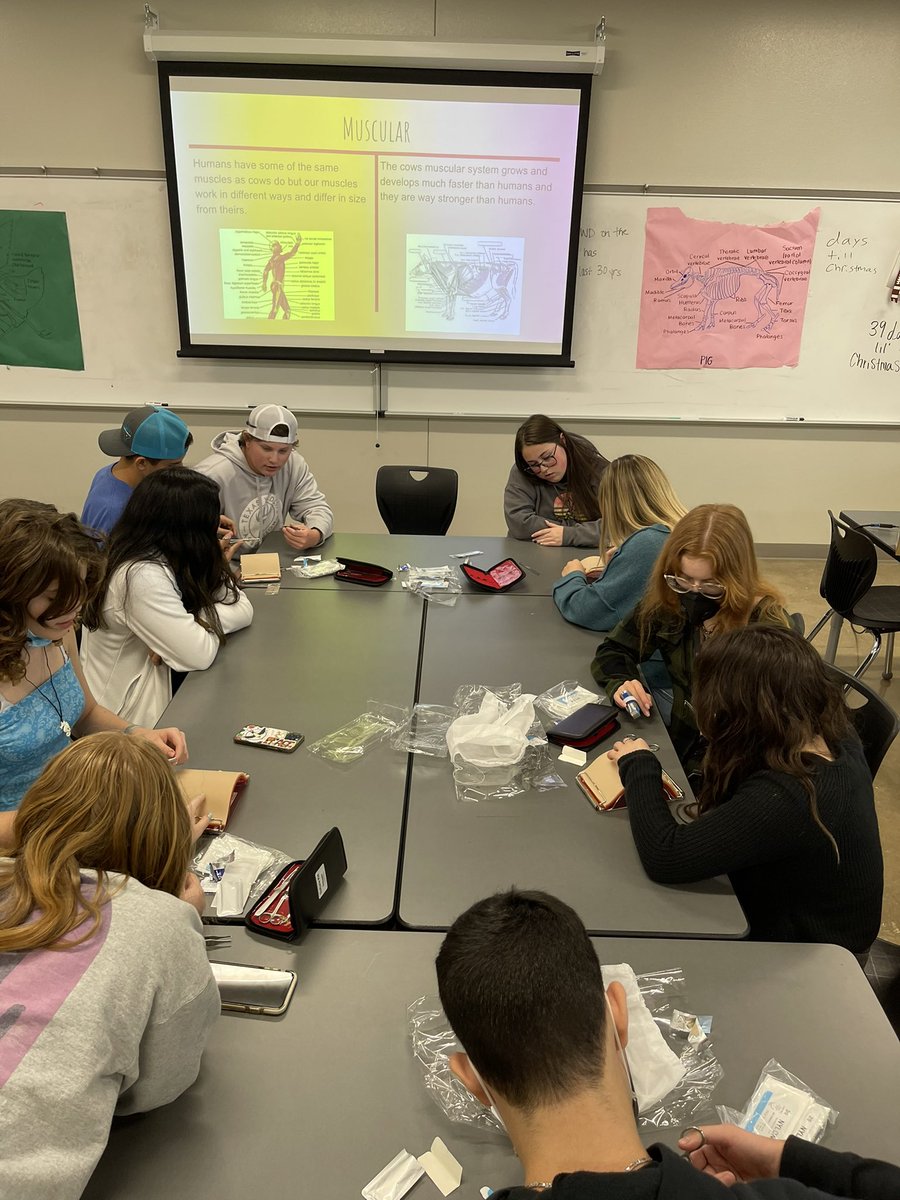 Hands on learning at its finest as our Vet med and Livestock Production classes learn how to Suture and Debris wounds . <a href="/DHSCTE/">Davenport HS CTE</a> <a href="/Supt_comalisd/">Andrew</a> <a href="/matthewsdeloach/">DeLoach</a> <a href="/KristinLeihsin1/">Kristin Leihsing</a> <a href="/jeffstracener/">Jeff Stracener</a> <a href="/MeLoPappas/">Meredith Pappas</a>