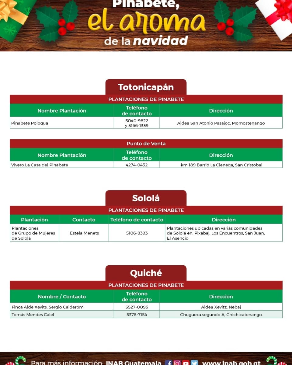 CONAPgt's tweet photo. El #𝐂𝐎𝐍𝐀𝐏 te comparte  los puntos de venta de #Pinabete 🌲 legal con el marchamo blanco de INAB/CONAP y blanco con fondo negro para subproductos (coronas y guirnaldas).

¡Juntos protejamos nuestros bosques!🇬🇹🌱 2/2

#CompraLegal #CompraConMarchamo #PinabeteConMarchamo https://t.co/2VzZKo7wLt