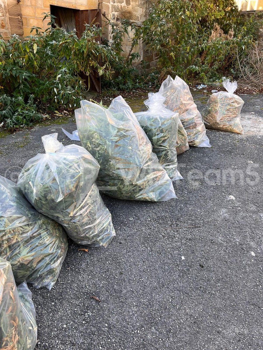 WYP_WDTeam5's tweet photo. #WT49 took over a cannabis farm from @WYP_Patrolteam4 in Hemsworth first thing. Once @RSSS_HQ had processed the scene, #WC10 had the job of dismantling it. That's an estimated 300 plants off the streets of West Yorkshire!

#TeamWork
#WDTeam5

@WestYorksPolice 
@WakefieldPolice https://t.co/YGnyu7i5Ak