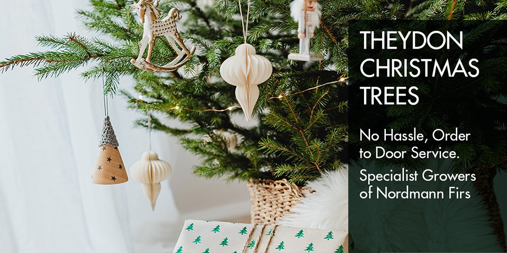 rickwheels's tweet photo. Support Buckhurst Hill Community Primary School and help fight climate change with a real Christmas tree this year!🎄 use this link to get a £5 discount code! 
https://t.co/TjJw4sXbMF https://t.co/8rXkQE30Uj