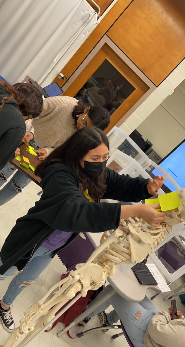 PonceMcHiCTE's tweet photo. Productive week for McHi’s Health Science students! Great job everyone! @McAllenISDCTE @McHiPride https://t.co/lRKuf6EeVh