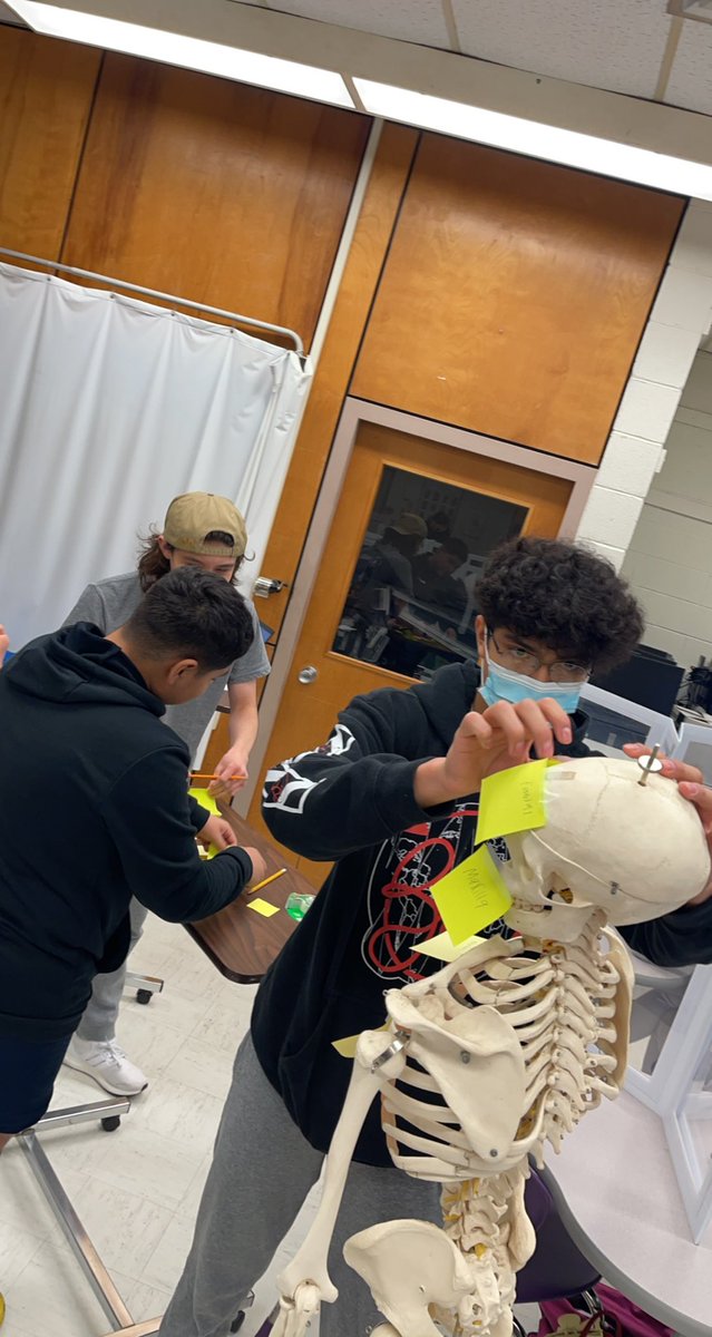 PonceMcHiCTE's tweet photo. Productive week for McHi’s Health Science students! Great job everyone! @McAllenISDCTE @McHiPride https://t.co/lRKuf6EeVh