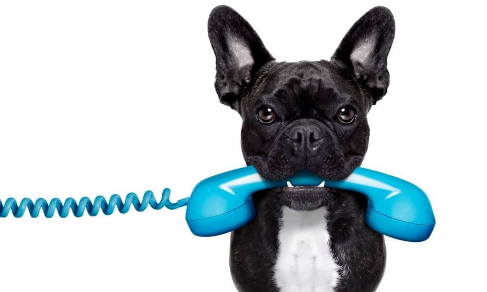 Windward_WDSL's tweet photo. WDSL Phone numbers:
 
WINDWARD: 023 80860516
SPIRAL BLUE: 01425 482774
THRIVE: 023 80266203
HELIX:  01202 826099
CLICK: 023 80860005
WINDWARD OFFICE: 023 80860005 https://t.co/UUVTOReCQA