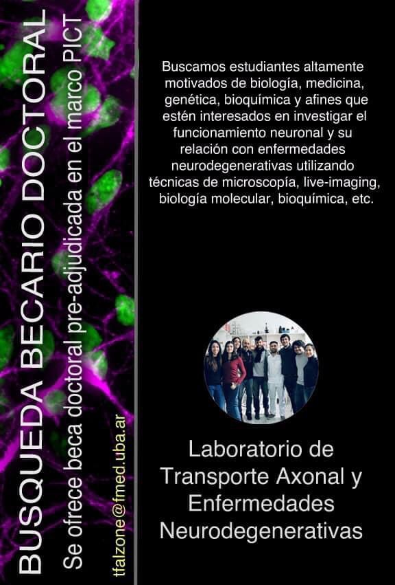 FalzoneLab's tweet photo. Estas interesado en hacer un doctorado trabajando con modelos humanos de enfermedades neurodegenerativas ???? :) ;) escríbenos a tfalzone@fmed.uba.ar https://t.co/xe7L4vOXRH