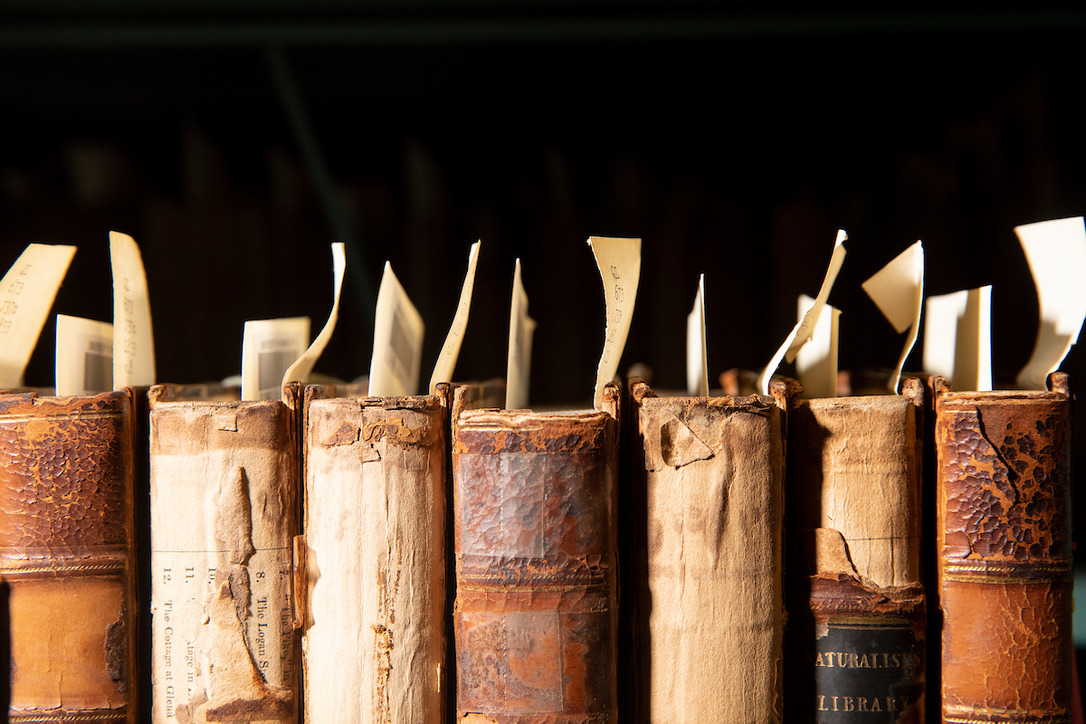 U of MN Center for Interprofessional Health (CIH) tweet media