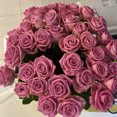 Kripta2021's tweet photo. #НовыйАватар https://t.co/j9LCyZts09