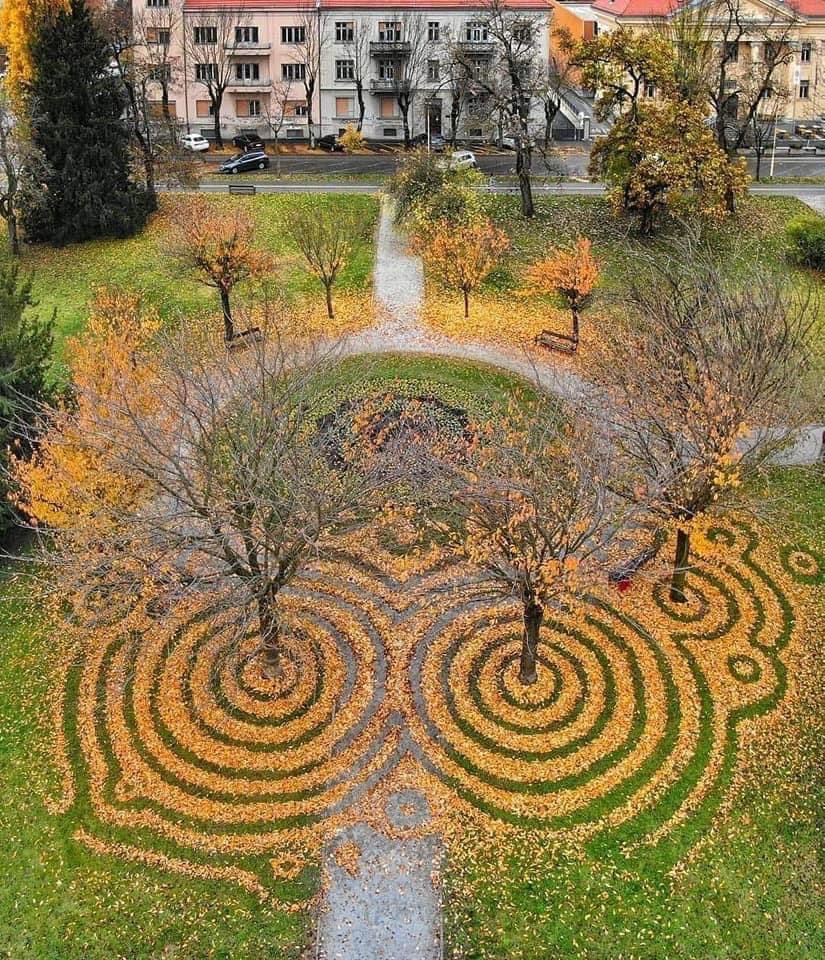 Local councils and leaf blower enthusiasts take note. Every autumn, academic sculptor Nicola Faller, and Osijek land artist create this magic!