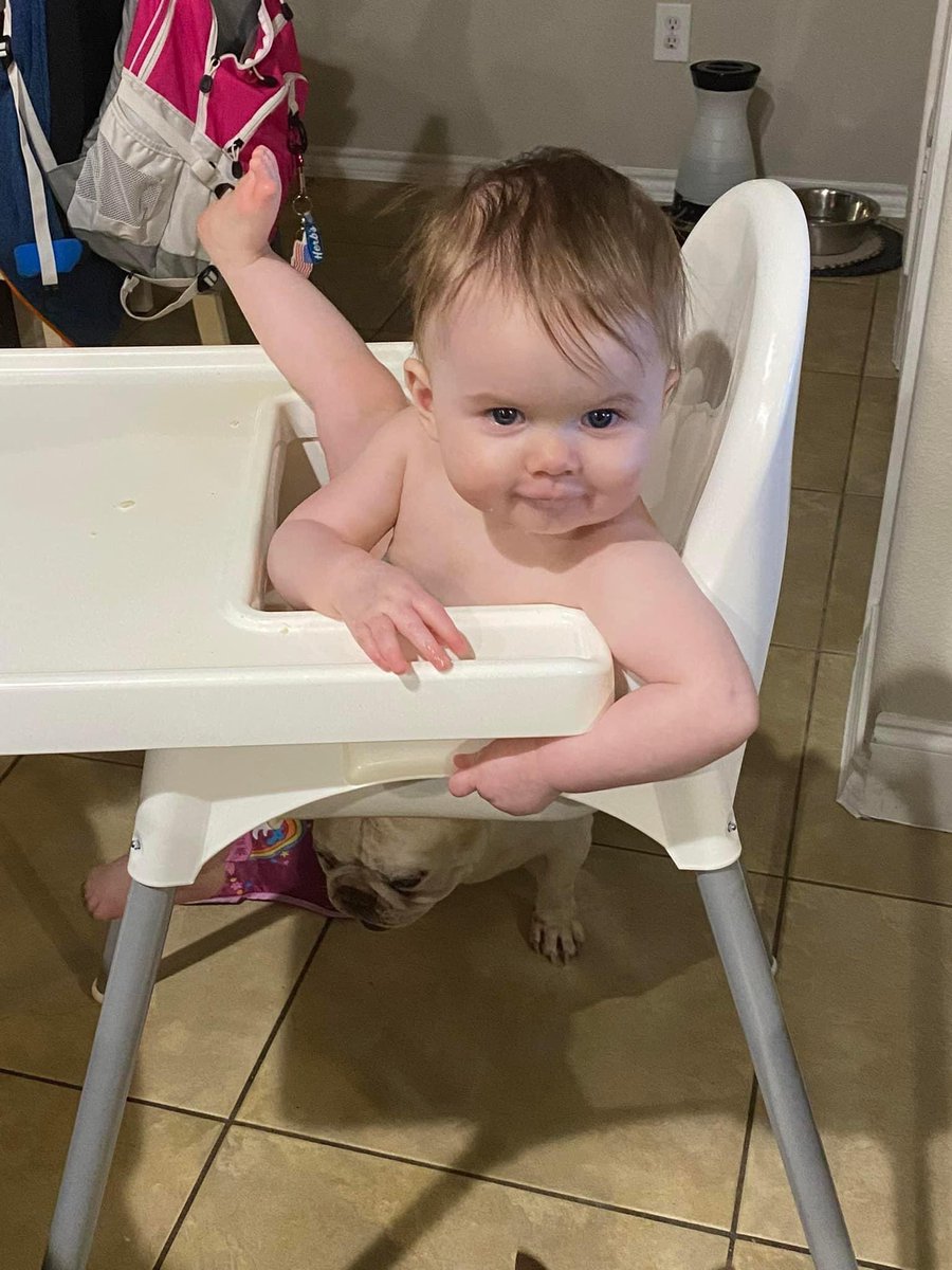 CTMagicGuy's tweet image. “What you gonna do about this leg out here daddy? Huh?”