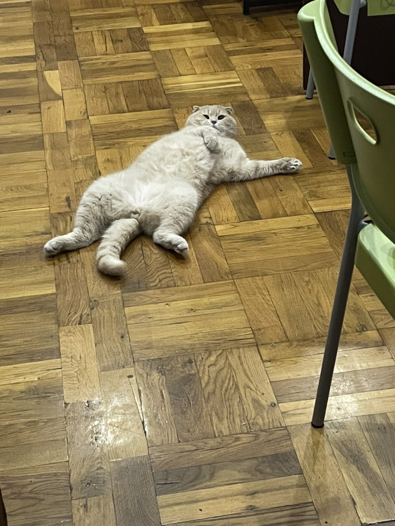 Дядь тебе нормально ?