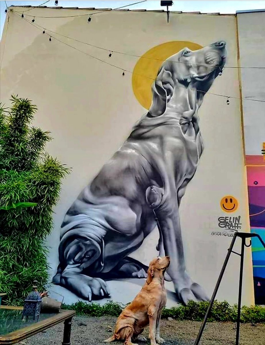 MolinaStreetArt's tweet photo. Art by Brazilian Gelin in São Paulo, Brazil (2021) #gelin #gelingraff #saopaulostreetart #streetart #lamolinastreetart 📷 via artist https://t.co/WmkaI6hovD https://t.co/jUnBWftSn9