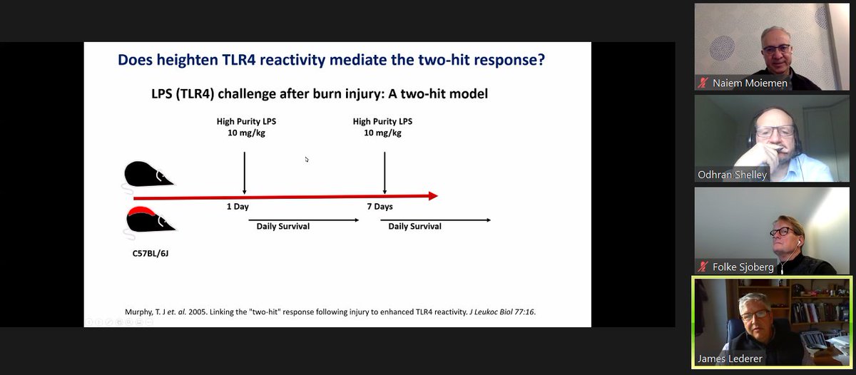 Loads of interesting information on #immunology and #immunteresponse to #burninjury shared during today's webinar.
Many thanks to all of our speakers!
You can rewatch all webinars in the Burns Series on our YouTube channel▶️
youtube.com/watch?v=kXXWx7…
<a href="/BAPRASvoice/">BAPRASvoice</a> <a href="/BritishBurn/">British Burn Assoc.</a>