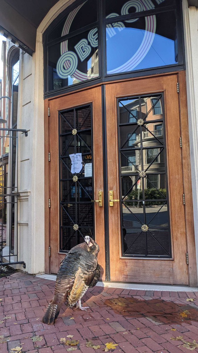 Looking for those last minute tix to tonight’s show #biggestfan → amrep.org/Catharsis