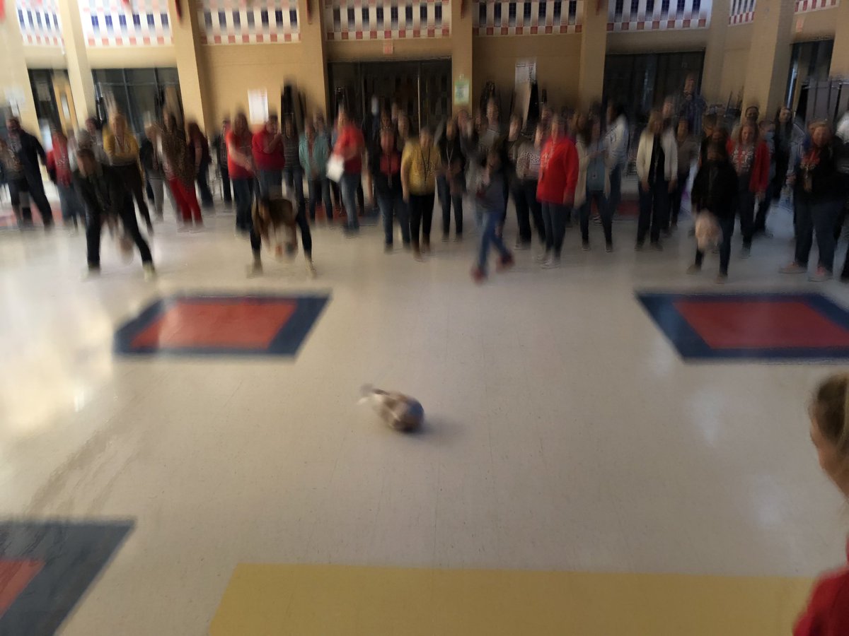 Madelaine Johnson tweet media