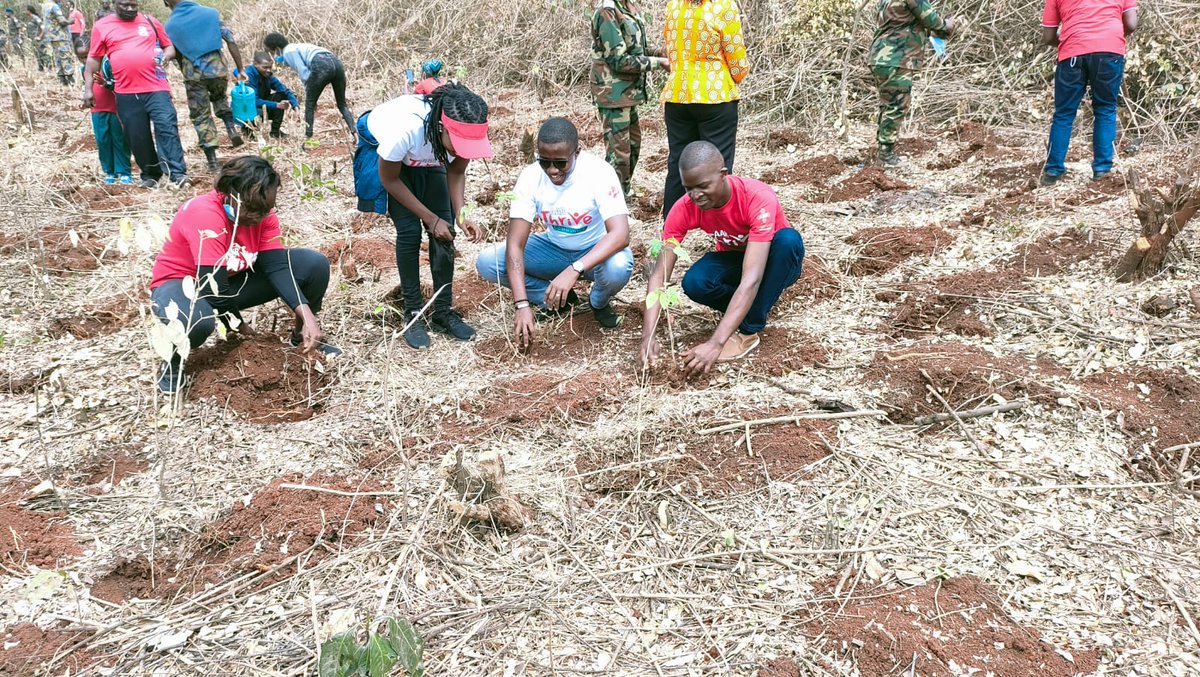 AAR_Insurance's tweet photo. The value and purpose of trees is enormous, and their existence is vital for our survival. AAR Insurance team taking part in conserving the environment.
#Trees4Health
#PlantYourBMI
#365DaysofcAARe
#YouAreInControl https://t.co/LZNcEEez77