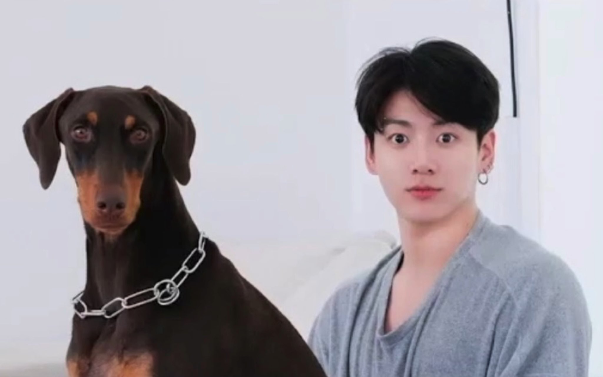 FEkHzH7aMAAep_s?format=jpg&name=large