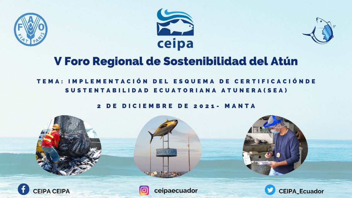 🐟🚢🇪🇨 En el #VForoRegionaldelAtún2021, los directivos de <a href="/CEIPA_Ecuador/">CEIPA</a> expondrán cómo se está implementando el esquema de certificación de la Sustentabilidad Ecuatoriana Atunera #SEA.  
No te lo pierdas: el próximo 2 de diciembre en #Manta

Regístrate ▶️ bit.ly/2ZK1qaJ
