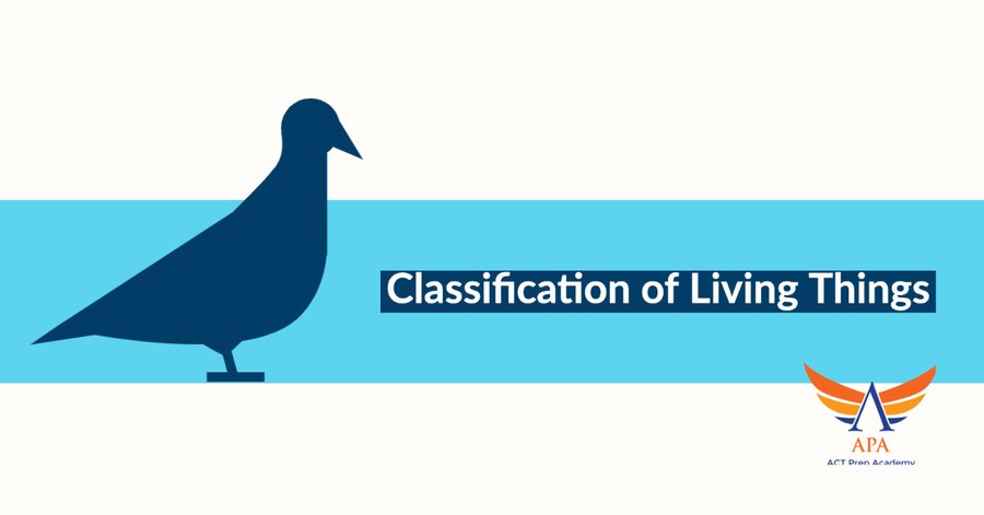 ACTProTips's tweet photo. #ACTProTip Science 
Classification of Living Things
 https://t.co/0PGmpjdHlh  
 by 
@MarkDrollinger

Simple Science
via 
@YouTube

#ACTPrep
#testprep #mathtestprep #summerenrichment #satmathclass #acttest #studygram #collegeessay #satclass #summermathcourses #privatetutoring https://t.co/ioP5H6OOZB