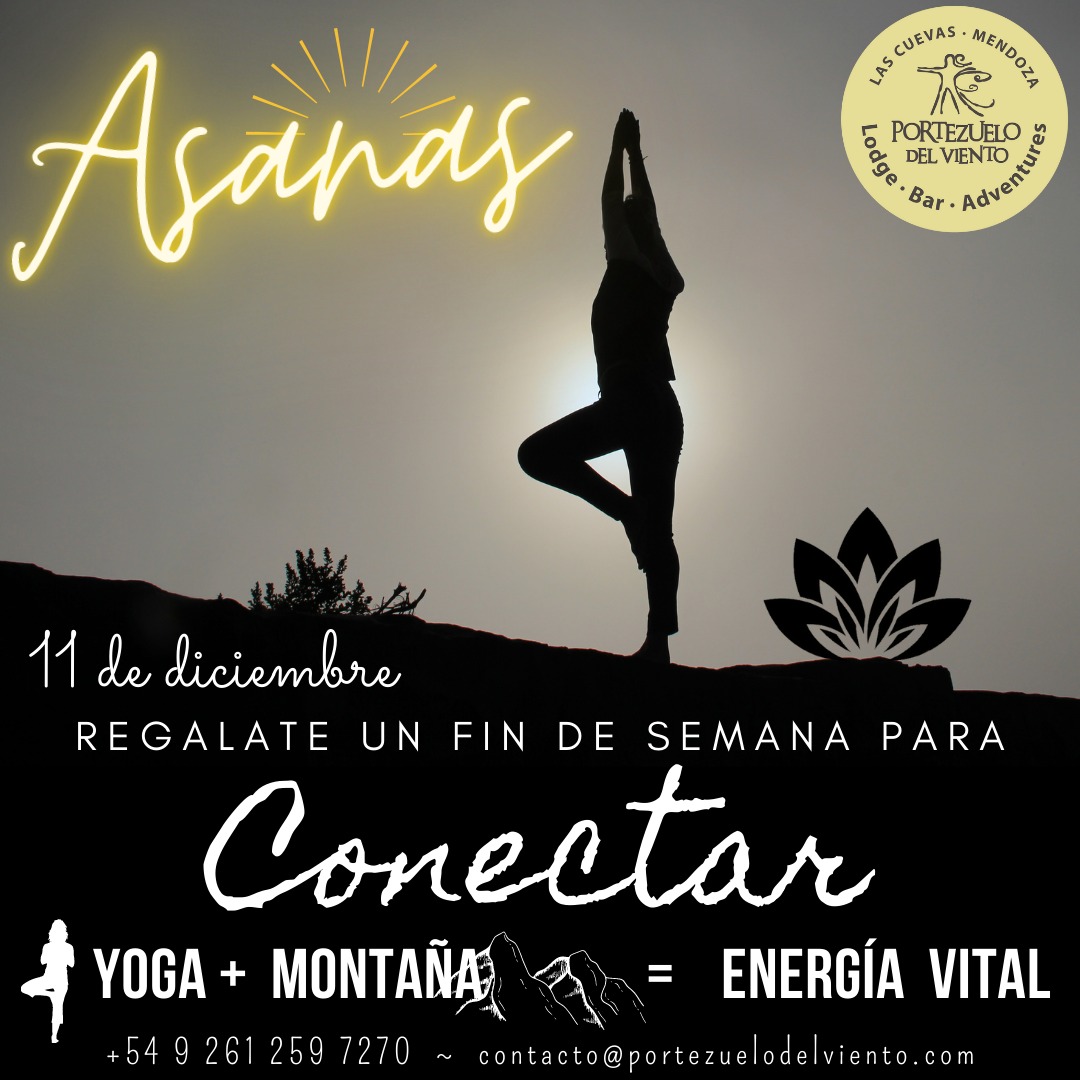 PortdelViento's tweet photo. Desconectar para conectar. Un fin de semana para llenarte de energía.

#yoga #meditation #nature https://t.co/vZGnEYWIye